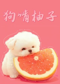 狗啃柚子封面